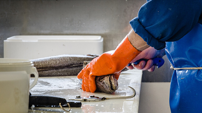 Pr&eacute;paration de commande sur mesure